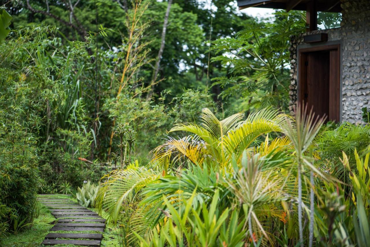 Thea Resort & Retreats - Santa Teresa Playa Santa Teresa  Extérieur photo